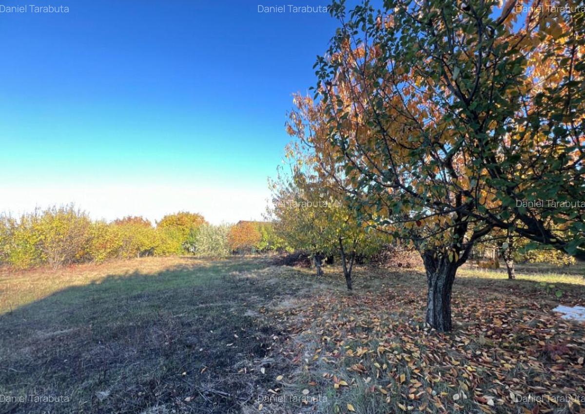 Teren constructie 800mp Rediu Horlesti - 1