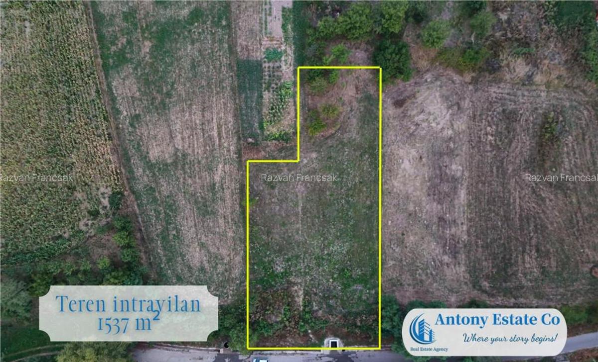 Teren intravilan, de - Balaia, Bihor - 2