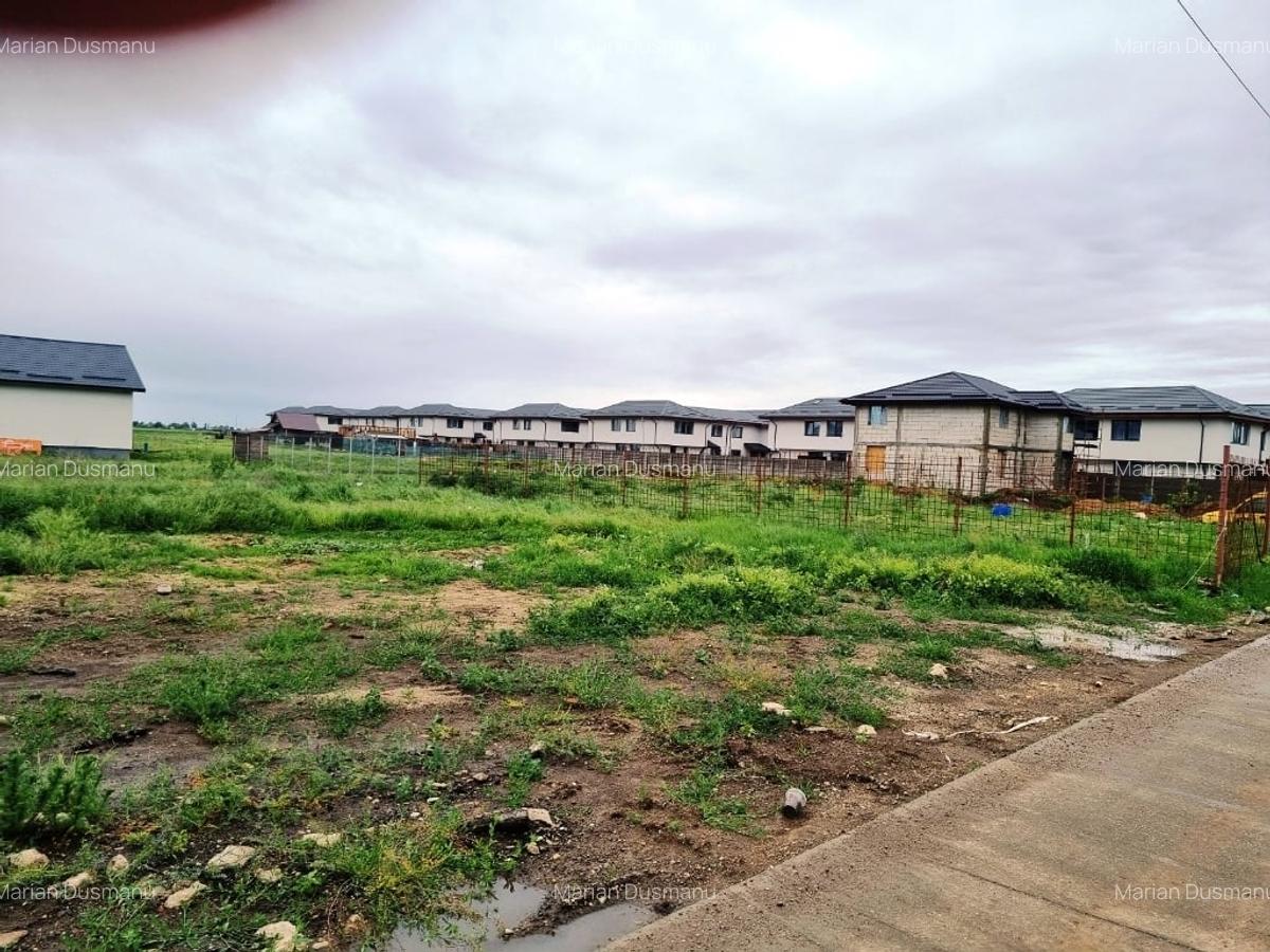 Vanzare Teren construibil Magurele 10000MP - 5