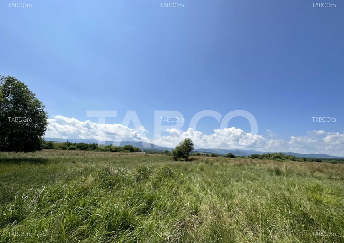 Teren intravilan 5000 mp zona Turnisor din Sibiu - 1