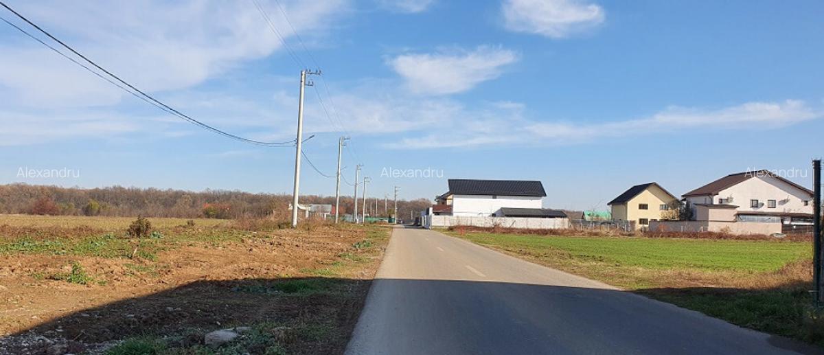 Teren langa padure si utilitati,800 mp,37000 euro - 3