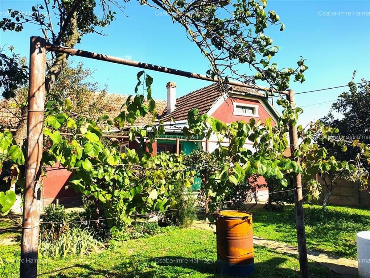 Casa cu teren in Cefa cu dublu front stradal - 5