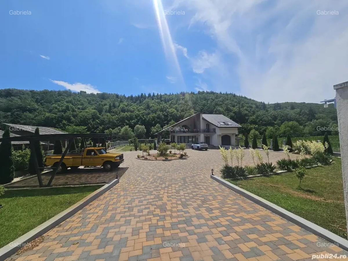 Casa de vanzare! - 6