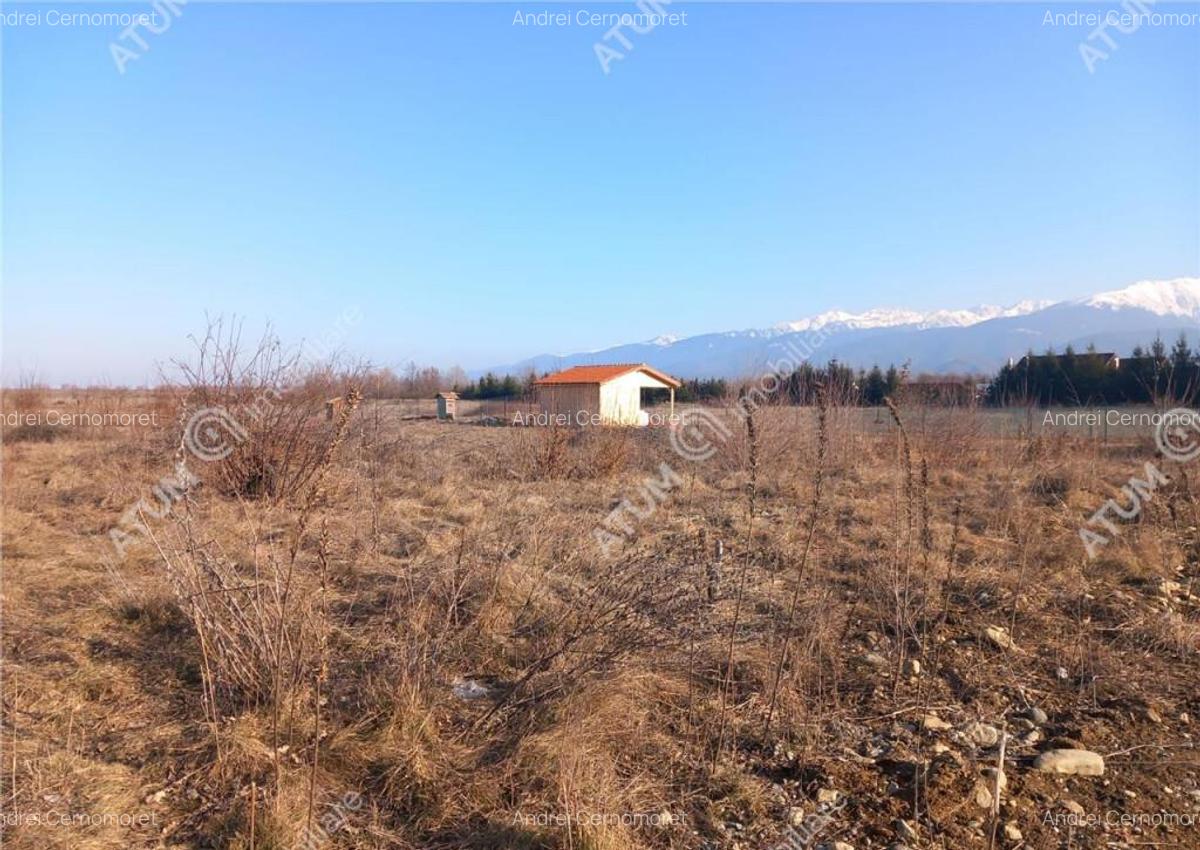 Teren intravilan 7900 mp de pe Valea Avrigului - 9