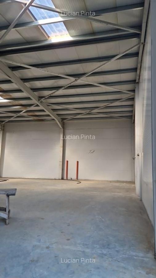 HALA NOUA depozitare si spatiu de birouri RUDENI - 2