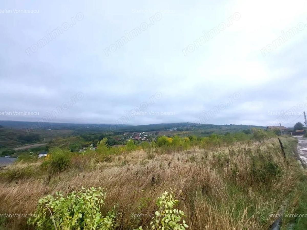 Teren de vanzare Barnova, cu priveliste Vanzare imediata - 6