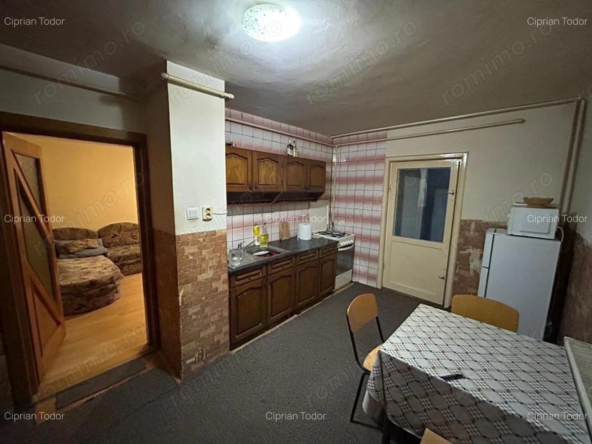 Apartament 2 camere, parter - zona Cetate - 10