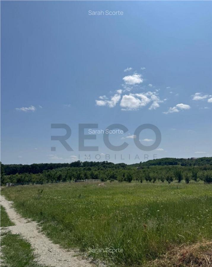 RECO teren in Paleu - 1