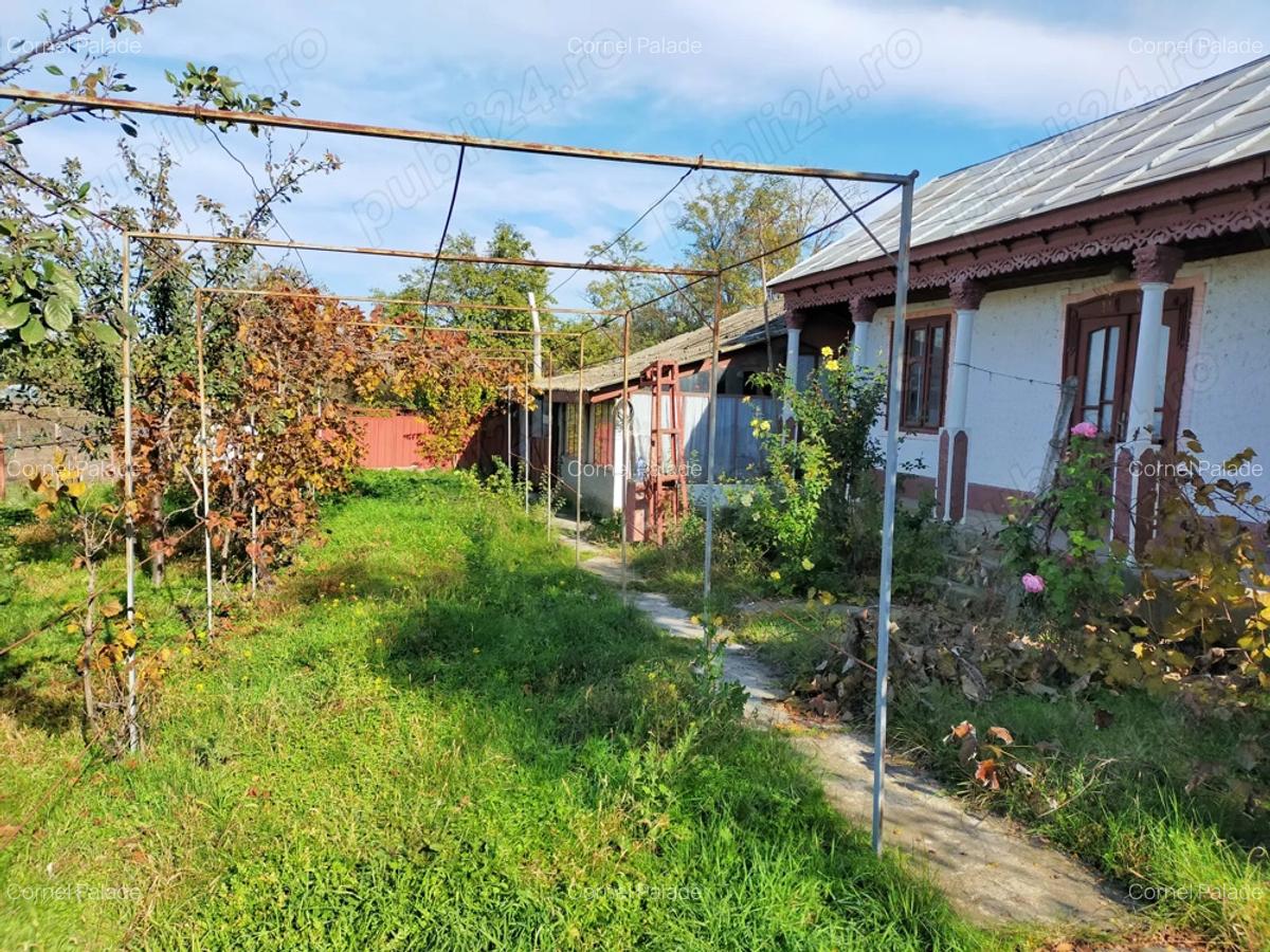 Casa+teren de vanzare - 2