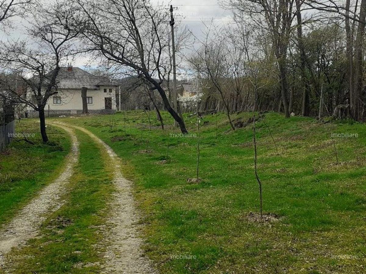 Casa de vanzare Domnesti Arges - 9