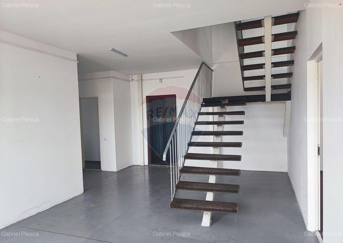 Hala Industriala, Parcul Industrial, Bor?, De Inchiriat - 4