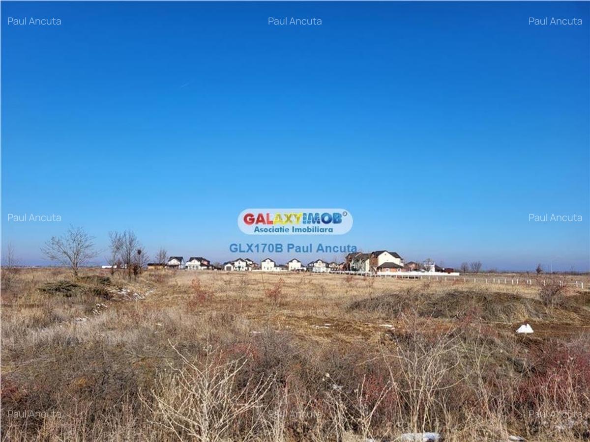 Teren latura Padure Corbeanca 15 Ha langa Flamingo 3 Intravilan - 2