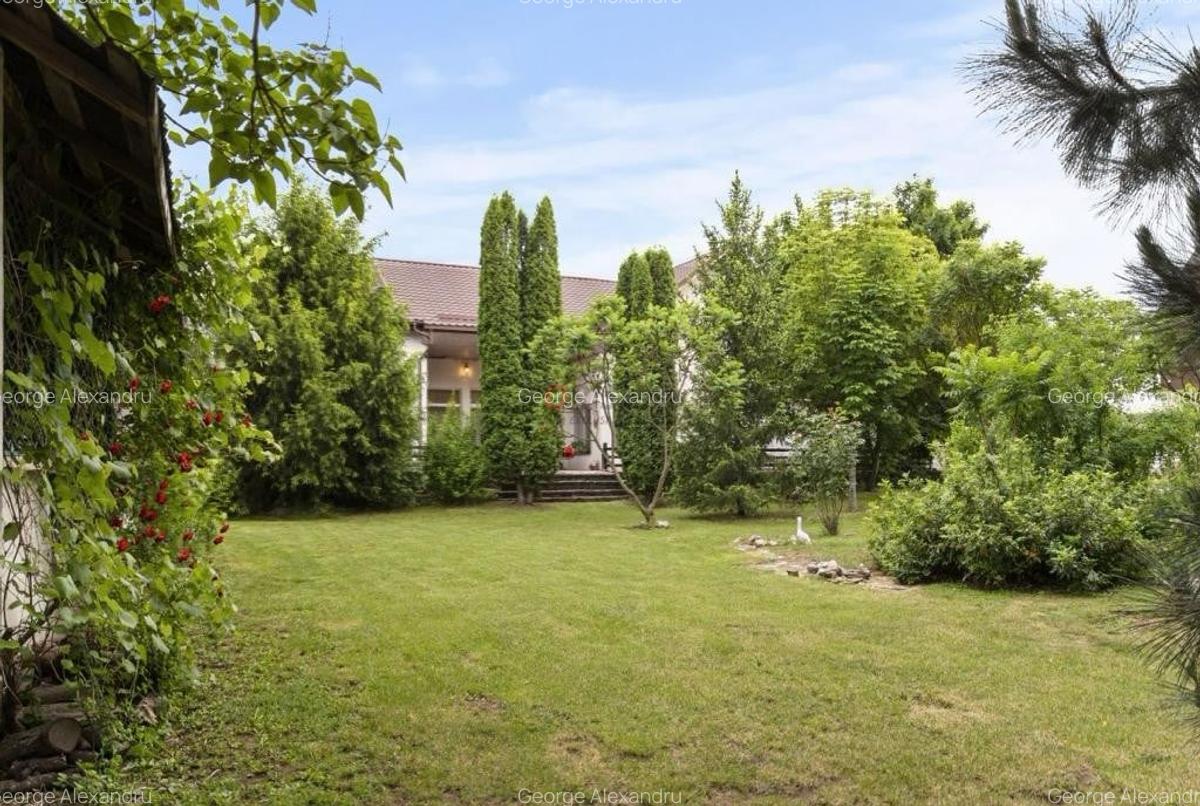 Vila de Vis in Corbeanca – Lux, Natura si Liniste, la un Pas de Lac! - 2