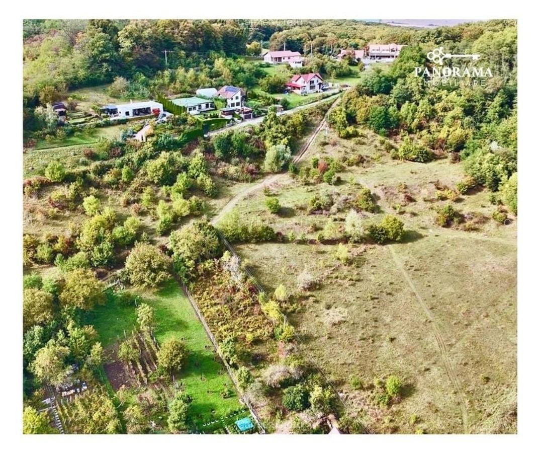 Teren intravilan cu vedere panoramică  4230mp - Mediaș - 6