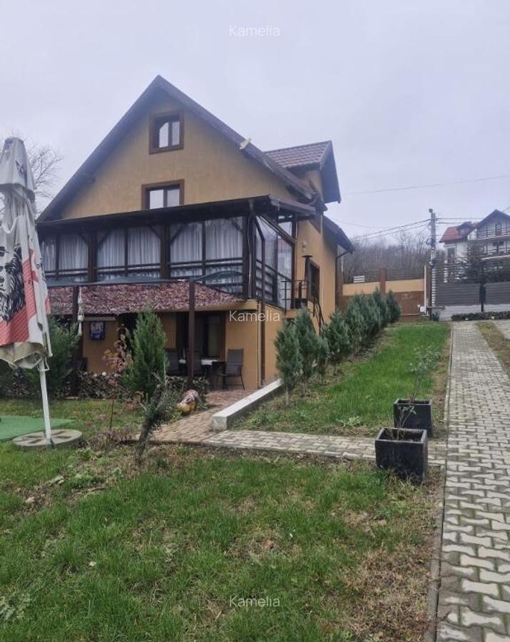Vila in localitatea Sarata Monteoru, Buzau - 35