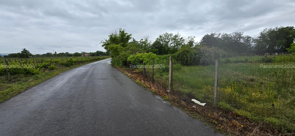 Casa si teren intravilan 4200 mp  Cotesti - 23