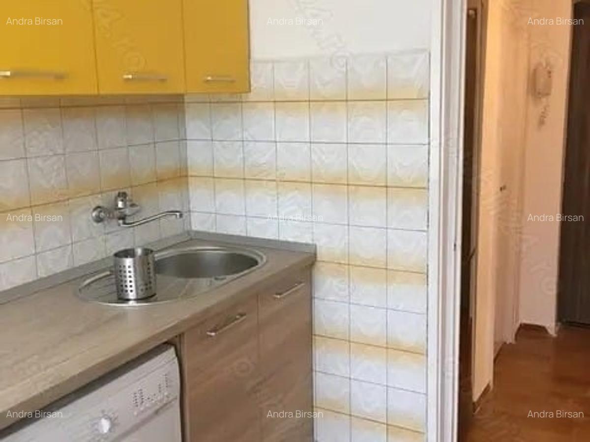 Inchiriere Apartament 2 Camere Spatios Dorobanti - 6