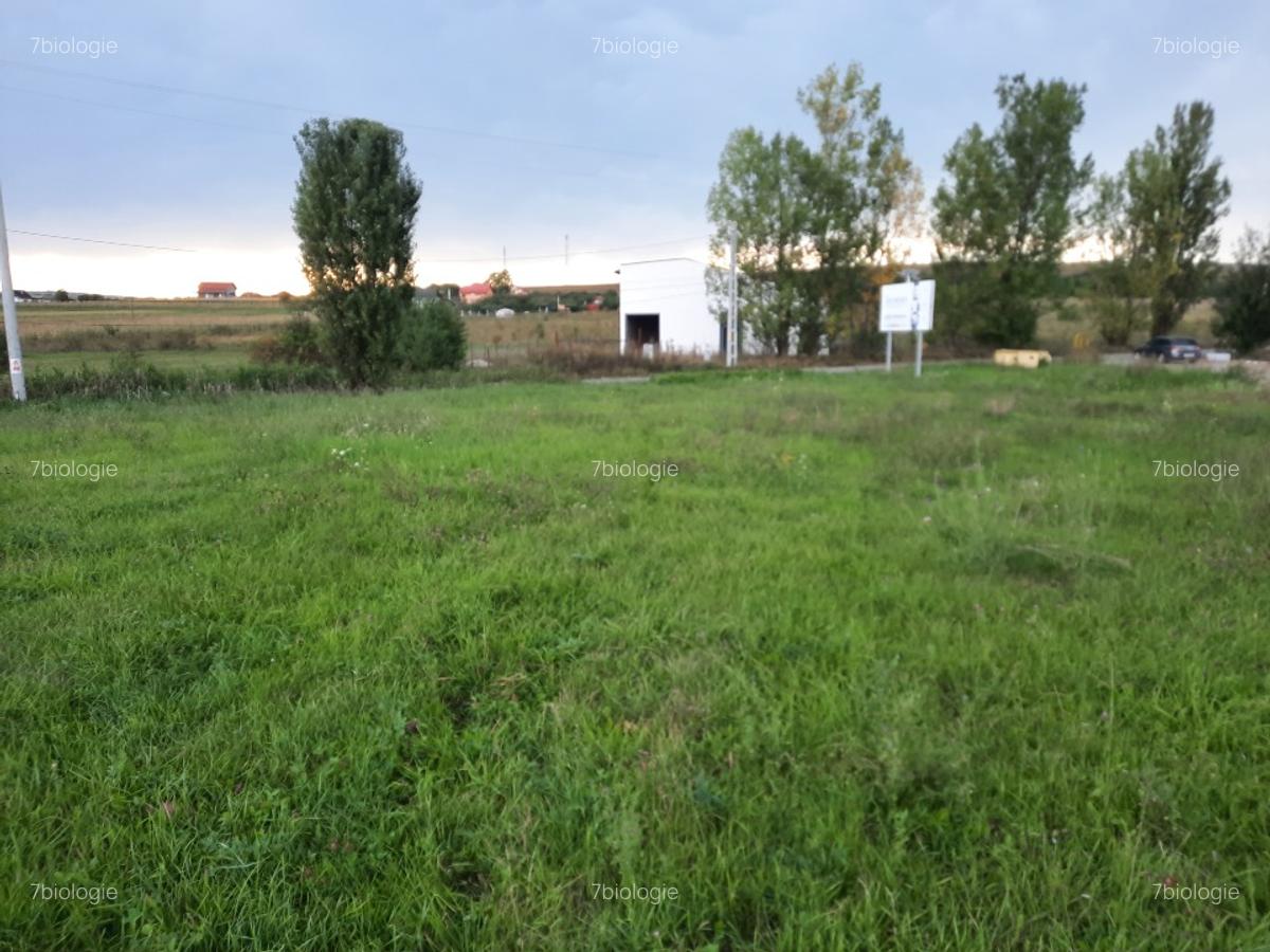Teren, 5800 mp, intravilan in Comuna Tureni, Jud Cluj - 4