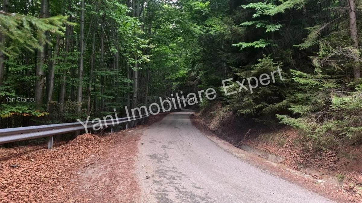 Teren de vanzare in apropiere de Transfagara?an ?i Valea Valsanului. - 14