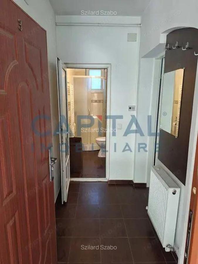 Apartament cu o camera pe strada Intre Lacuri - 3