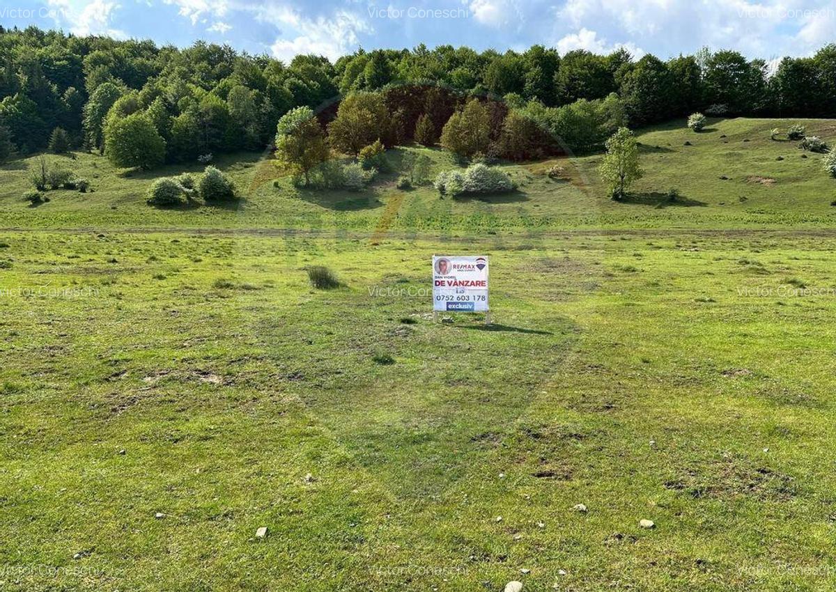OPORTUNITATE! Teren 5,000 mp Vama Buzaului / Drumul DJ103A - 5