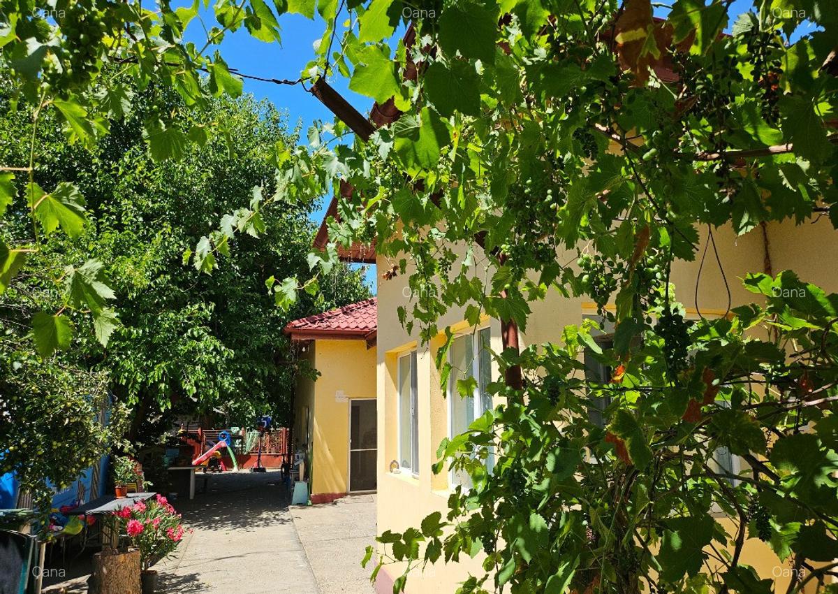 Casa cu teren deschidere directa la lac Corbeanca - 2