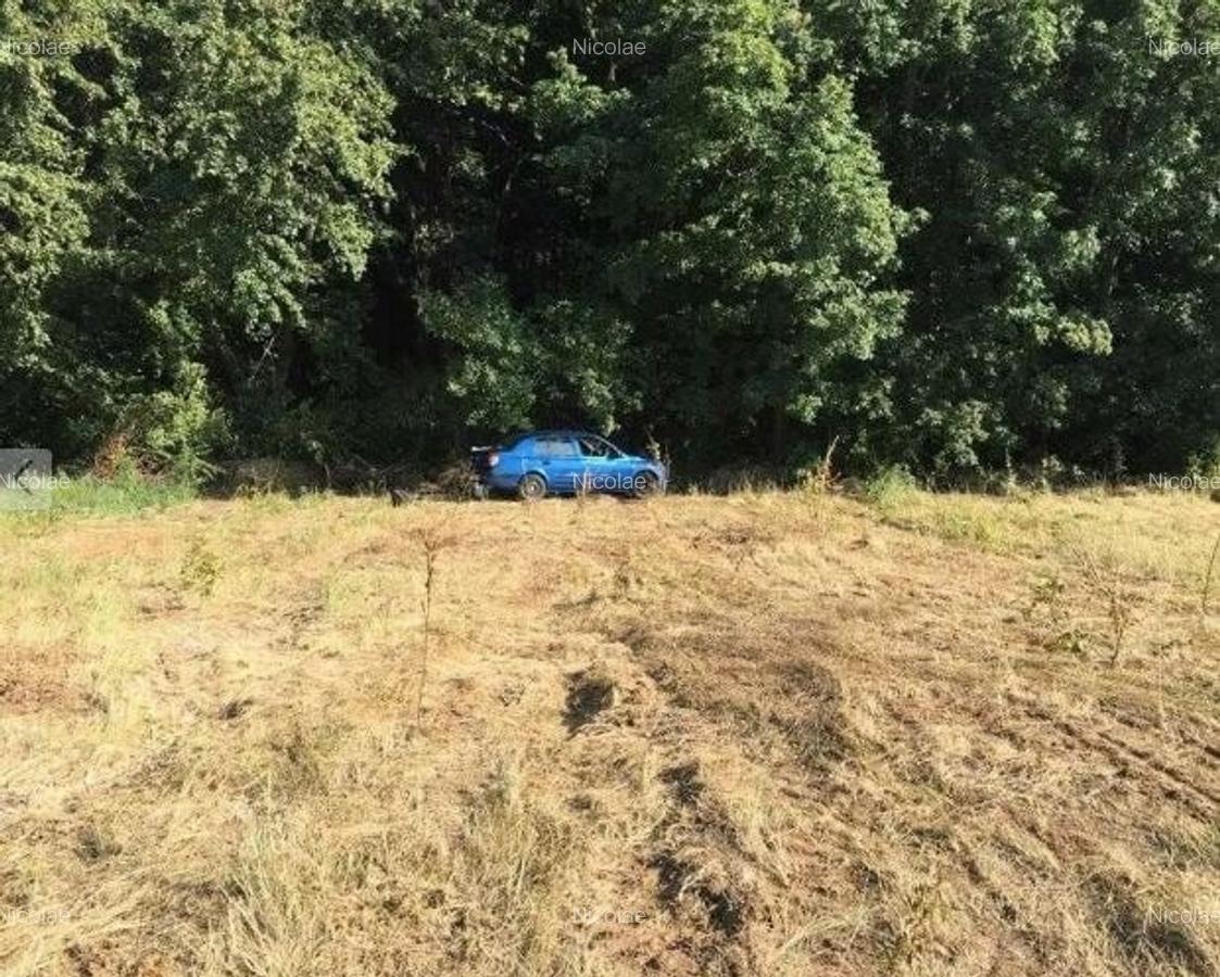 Teren intravilan 900 m– primul lot de la pădure, dublă deschidere, Brănești - 1