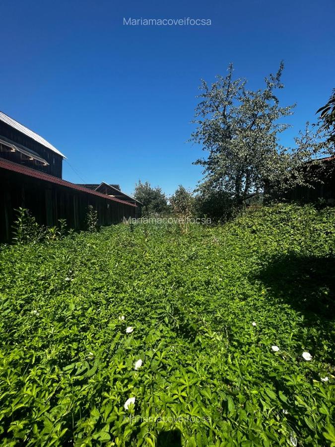 Vand casa cu etaj si teren in Vanatori Neamt,langa Targu Neamt - 9