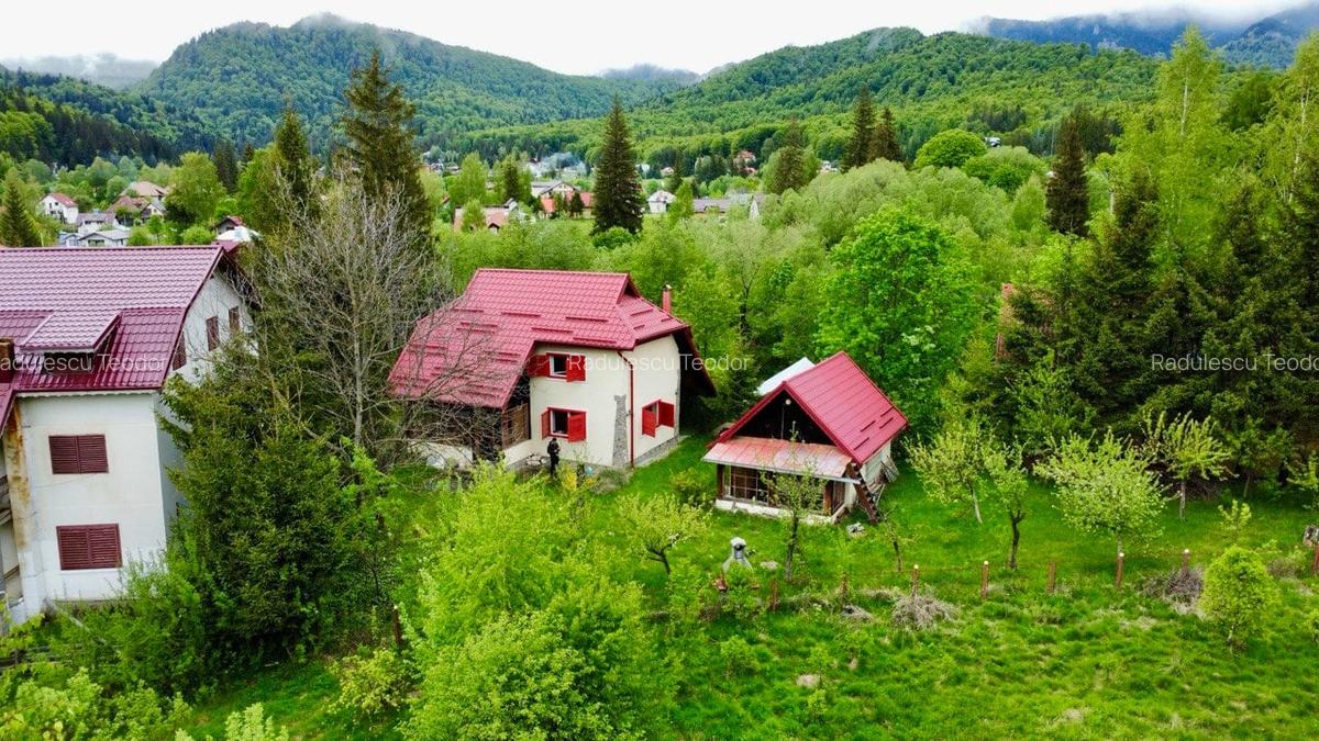 Vila vacanta Cheia - Prahova, pretabila pentru investitie - 45