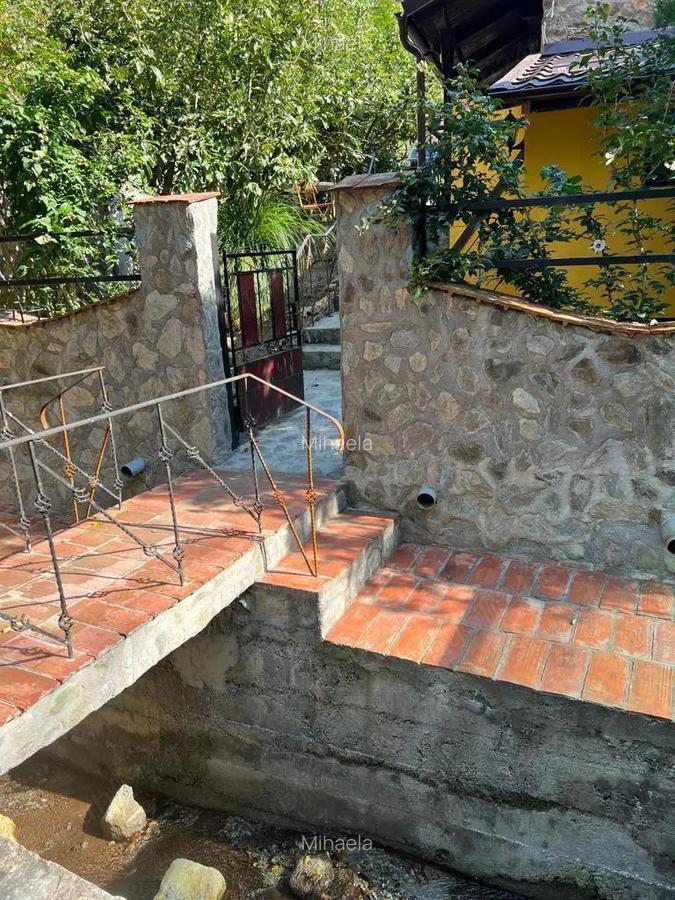 Vand casa Saca Montana - 8