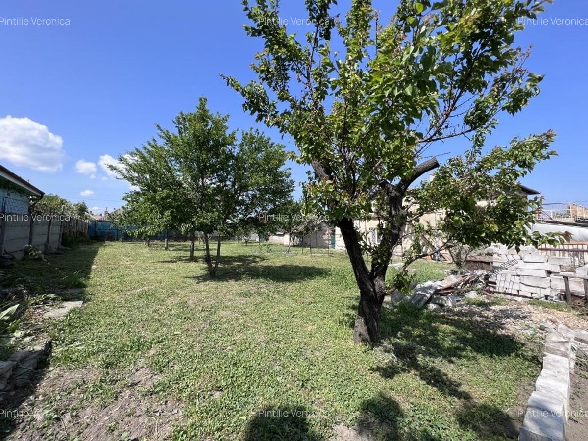 Teren 3500 mp Str Delfinului Foarte Aproape De Lacul Sutghiol - 41