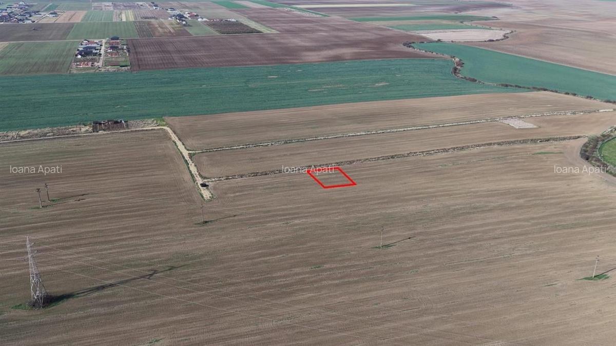 RECO Teren intravilan in LIvada de Bihor - 5