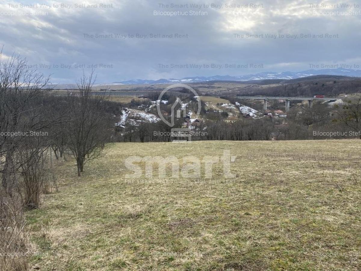 Teren intravilan cu CF 5400mp front 17 Savadisla jud Cluj - 11