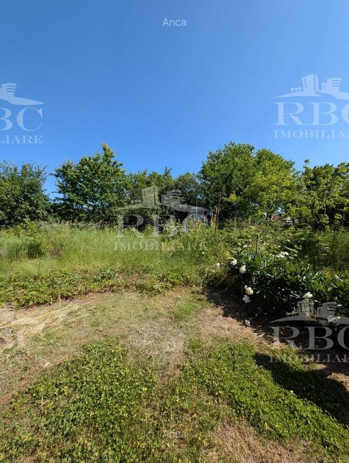 Teren pentru constructie casa in Faget - 11