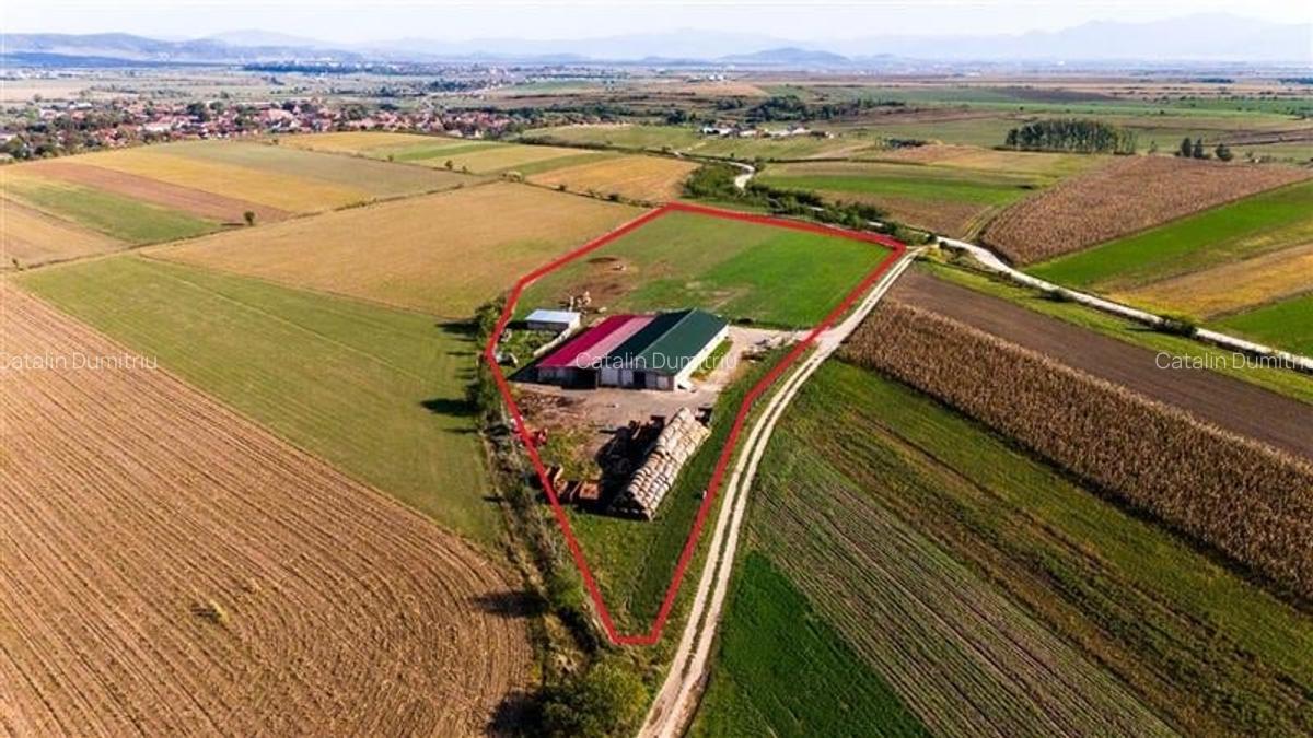 FILM! 18.000 mp,extravilan,agricol+constructii, recomandat:ferma,investitii agri - 2