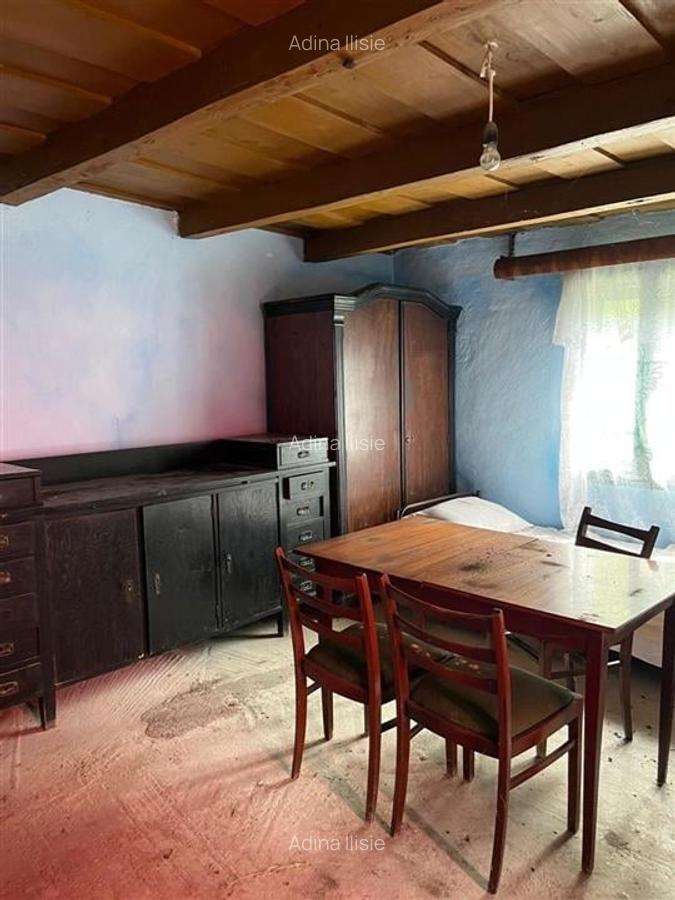 RECO Casa batraneasca cu teren generos la Lupoaia -Holod - 5