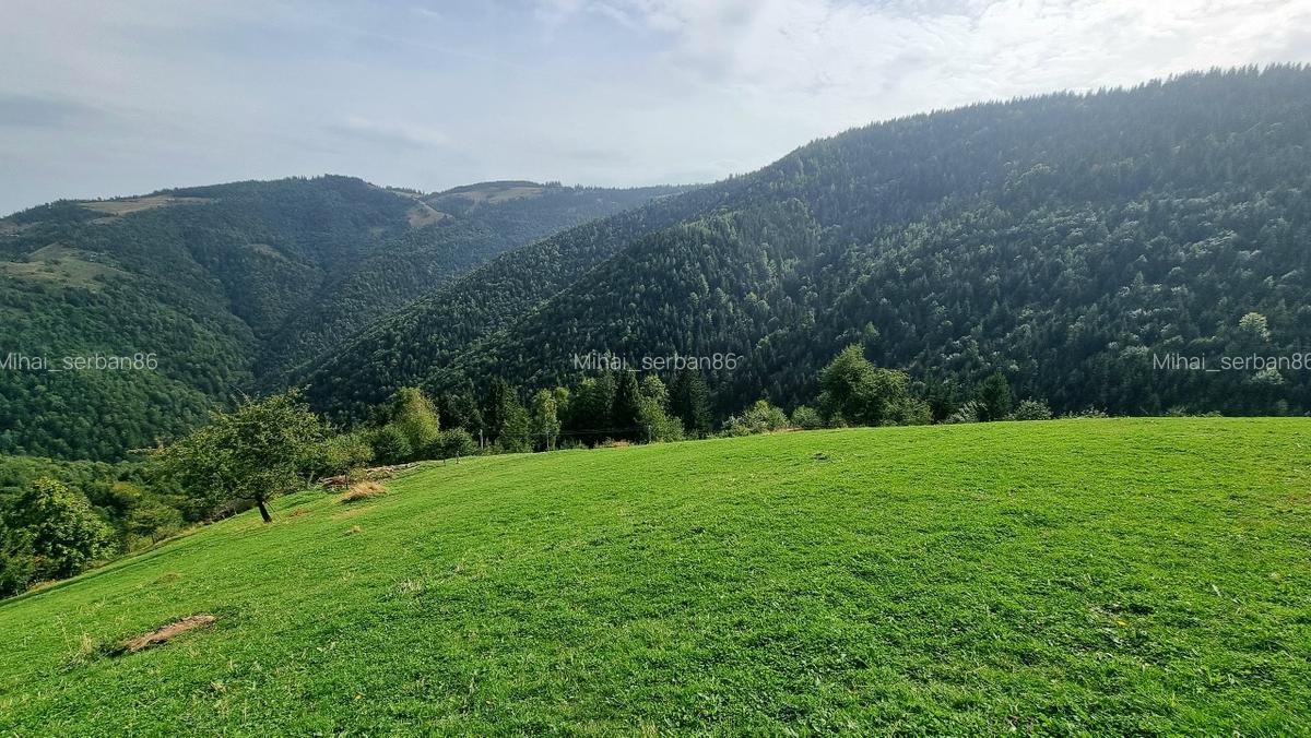 Vand teren la munte pentru cabana - 2