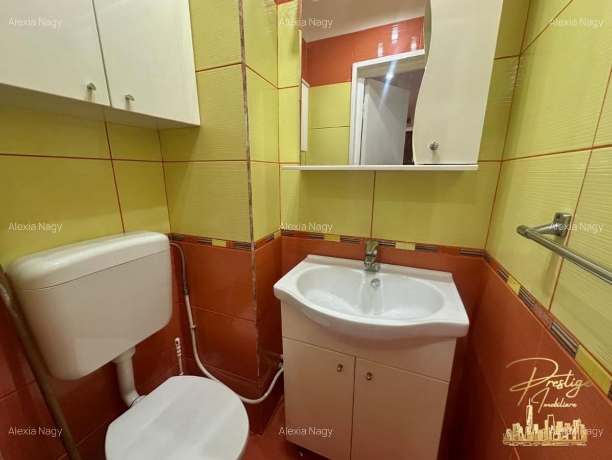 Apartament cu 3 camere de inchiriat pe str.Sovata -zona Decebal - 16