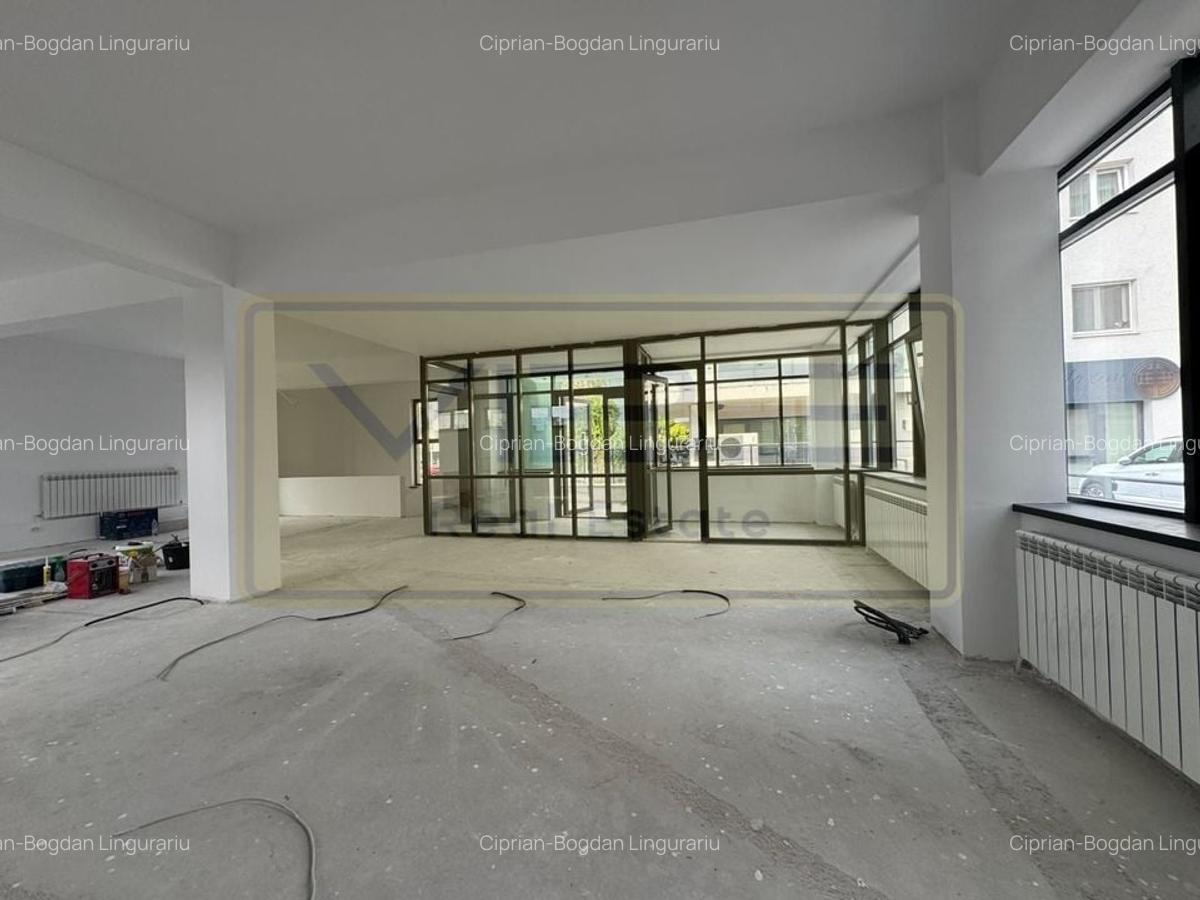 Cladire birouri / comerciala Tudor Vladimirescu-Iulius Mall - 5