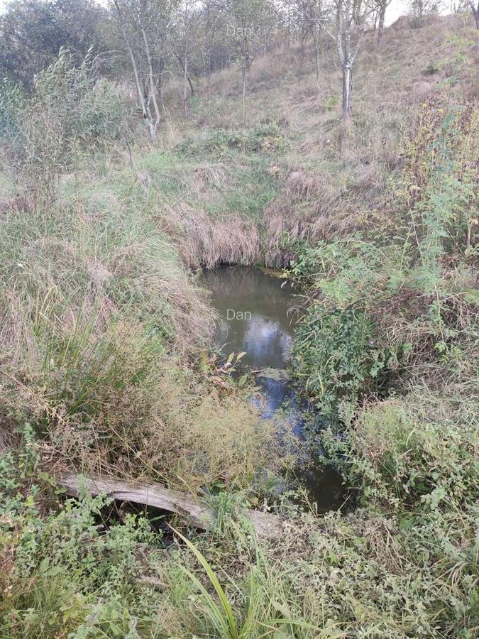 Vand casa in Nada? - 10