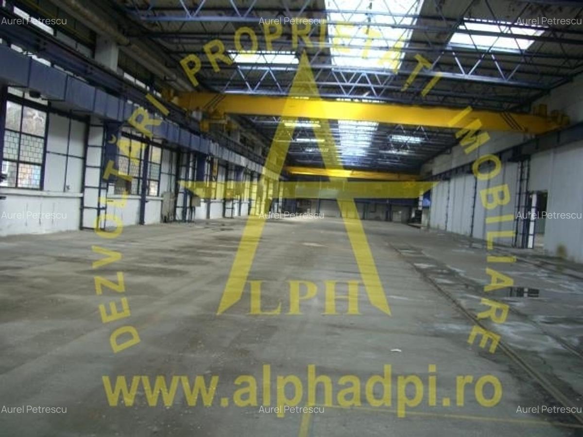 HALĂ sector 3 Republica - 6
