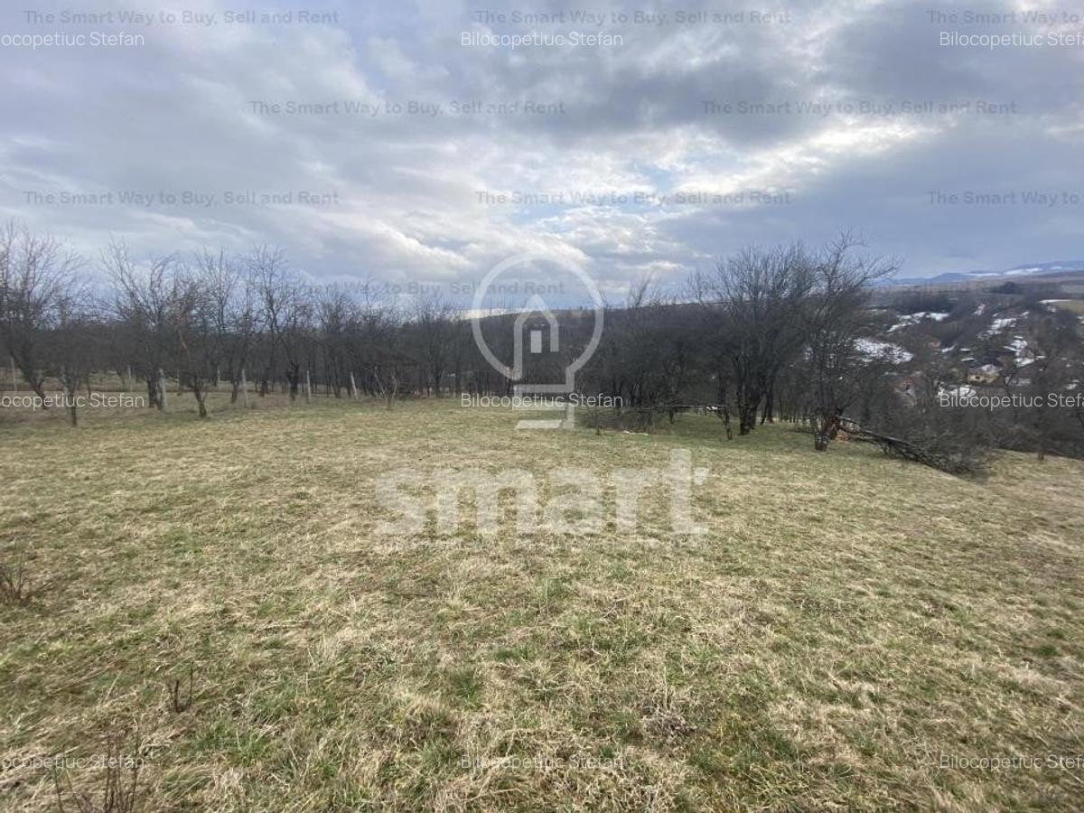 Teren intravilan cu CF 5400mp front 17 Savadisla jud Cluj - 12