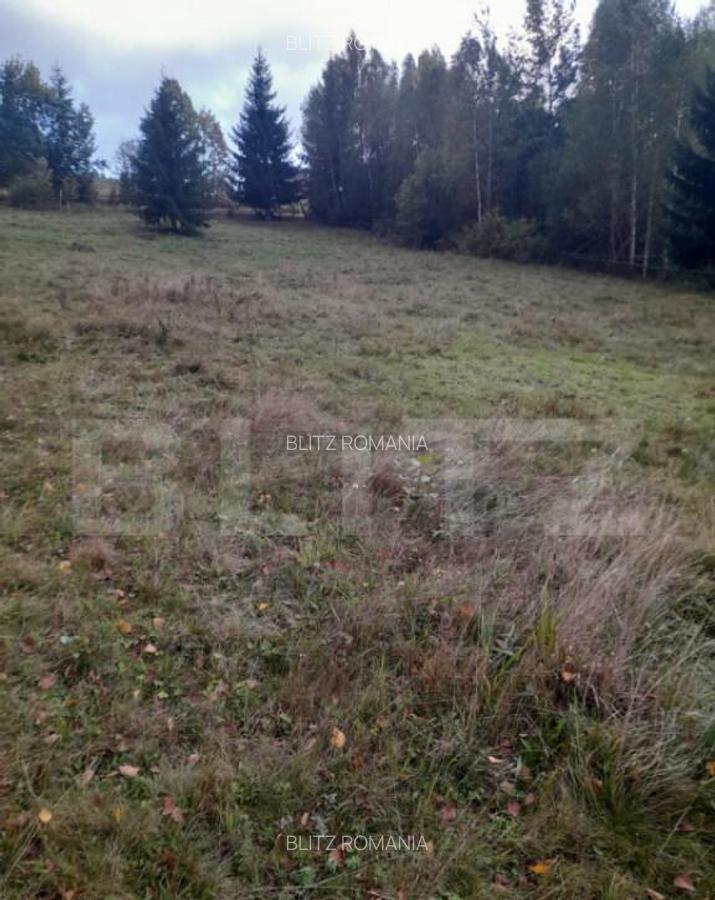 Teren intravilan de vanzare, 2280 mp, Vatra Dornei - 6