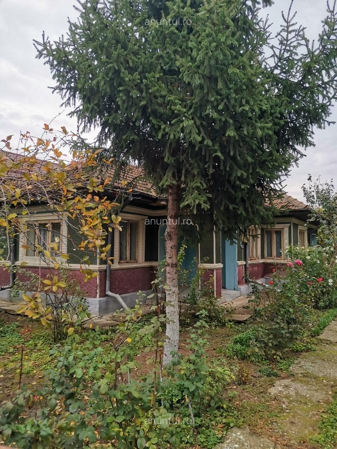 Cosereni, Ialomita - 1