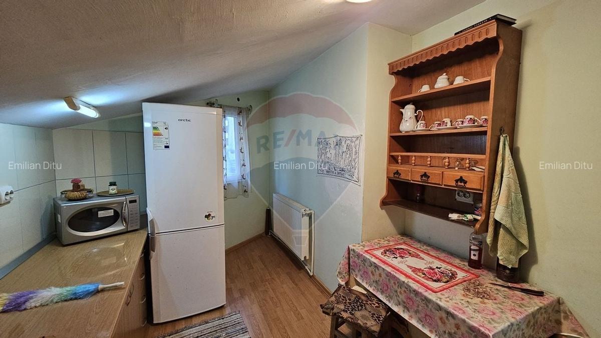 Casă individuală cu 4 camere în George Enescu - 18