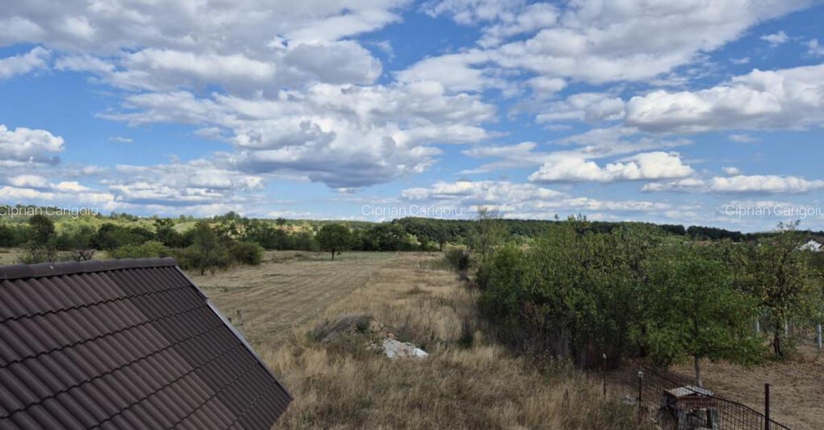 Casa D+P+M ?i teren 4334 mp - Runcu, Sat Rachi?i - 20