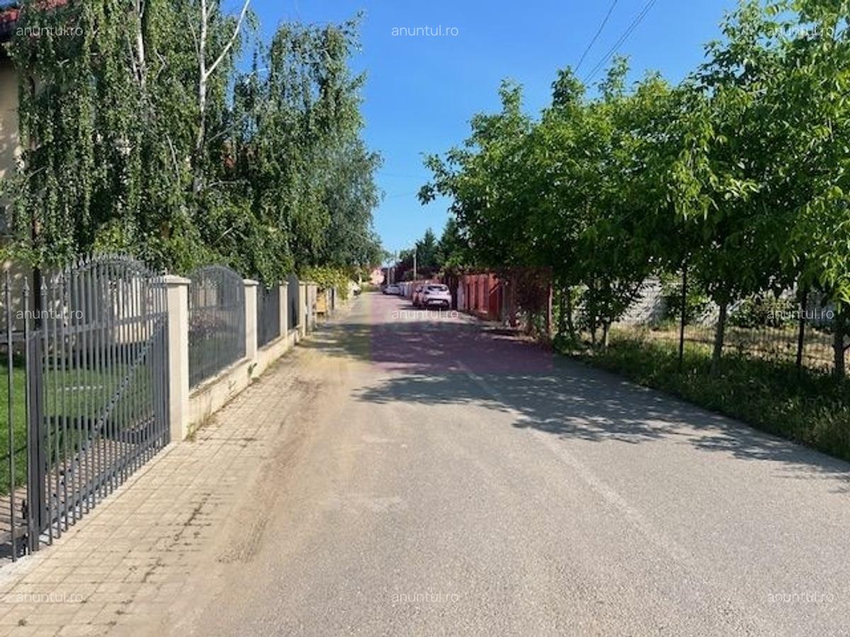 Teren Clinceni- Putul Olteni- Crizantemelor - 4