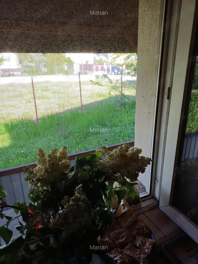 Cornetu,Vila de vinzare, - 9