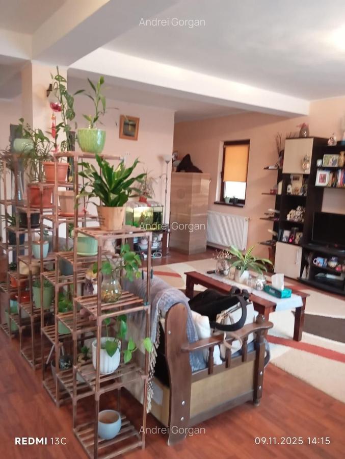 Casa cu 4 camere in Lunca Cetatuii - 2