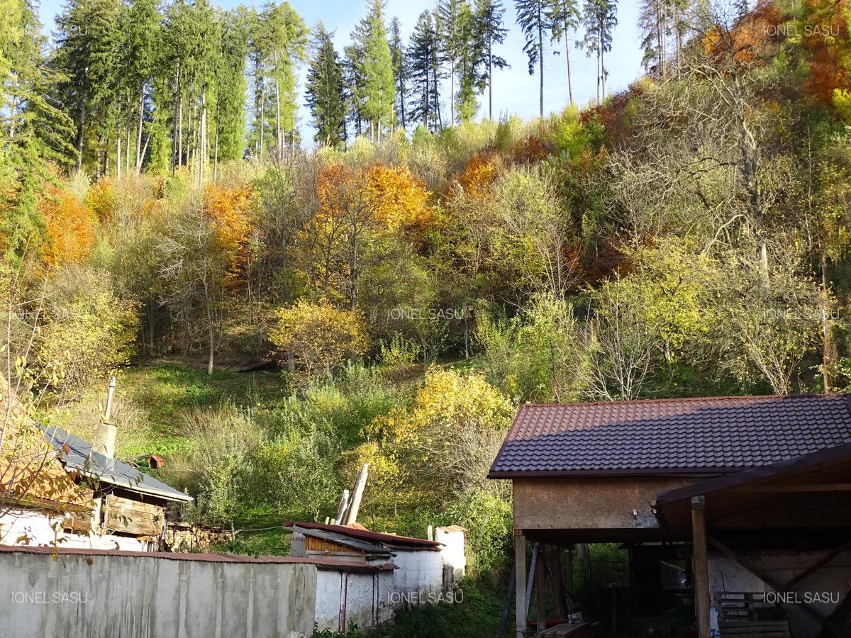 Casa individuala in Rasnov renovata complet - 2